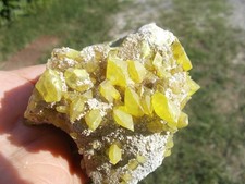Minerali zolfo bituminoso usato  Buggiano