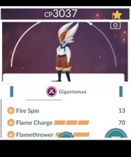 Gigantamax Cinderace Pokemon Nível 50, 2 Charge Move, Pokémon Go Trade comprar usado  Enviando para Brazil