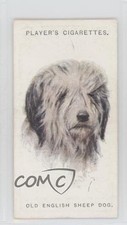 1929 player dogs for sale  Auburn