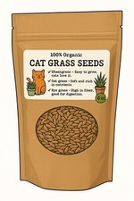 Cat grass seed for sale  Barberton