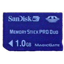 Memory card sandisk usato  Avellino