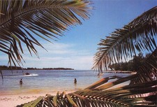 Mauritius grand baie d'occasion  Expédié en Belgium