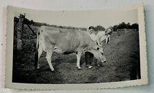 Vintage snapshot photo for sale  Broken Bow