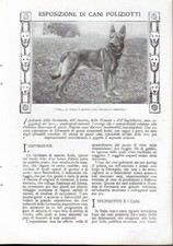 Francesco fabiani esposizione usato Francesco fabiani esposizione usato  Roma