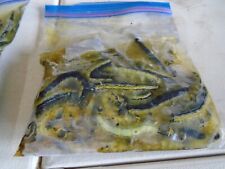 Frozen catalpa worms for sale  Loranger