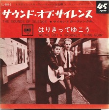 Simon garfunkel the usato Simon garfunkel the usato  Roma