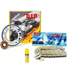 Kit trasmissione did usato  Italia