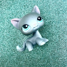 Hasbro Littlest Pet Shop LPS Gato de Pelo Curto #126 Cinza Teal Ponto Olhos Principais Cinco 5, usado comprar usado Hasbro Littlest Pet Shop LPS Gato de Pelo Curto #126 Cinza Teal Ponto Olhos Principais Cinco 5, usado comprar usado  Enviando para Brazil