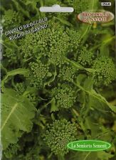 300 semi seeds usato  Morra de Sanctis