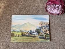 Unframed watercolour tom for sale  DRIFFIELD