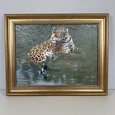Stephen gayford cool for sale  RHYL
