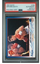 1991 arturo gatti for sale  New Baltimore