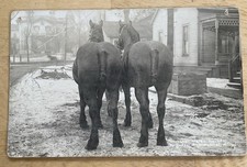 C.u. williams rppc for sale  Bloomington