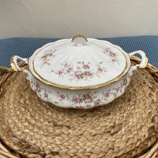 Appointment paragon rose for sale  LEAMINGTON SPA