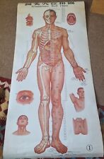 Anatomical medical chinese for sale  BEDFORD