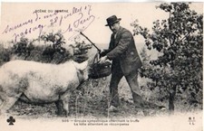 Cpa 1917 groupe d'occasion  Nîmes