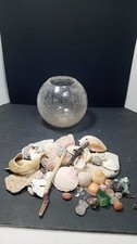 Collection sea shells for sale  Sebring