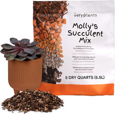 Molly succulent mix for sale  Los Angeles
