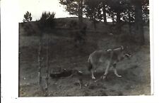 Rppc real photo for sale  Independence