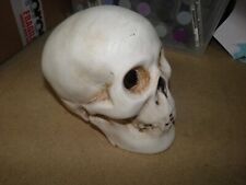 Ceramic gothic skull for sale  HOLSWORTHY