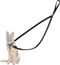 25m doppel hunde gebraucht kaufen  Ölbronn-Dürrn