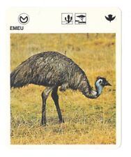 Fact sheet livre d'occasion  Expédié en Belgium
