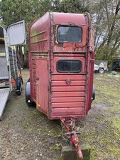 Rice richardson horse for sale  NEWTOWN