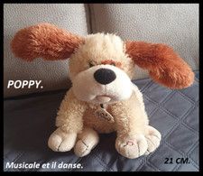 Petit chien poppy d'occasion  Bouzonville