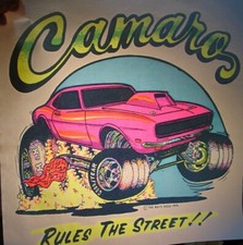 Chevy camaro rules for sale  Sioux Falls