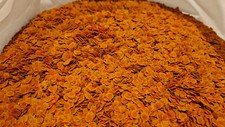 Colour energy algae for sale  UK