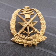Insigne militaire beret d'occasion  Olivet