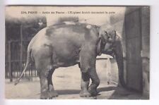 Cpa paris elephant d'occasion  Ménéac