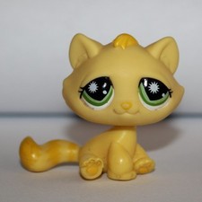 Petshop gutter cat d'occasion  Expédié en Belgium