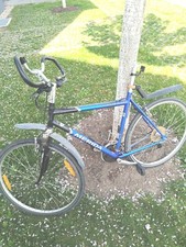 Trekking fahrrad zoll gebraucht kaufen  Leipzig