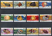 Penrhyn 1974 fish usato  Spedire a Italy
