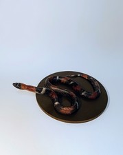 Taxidermy cabinet curiosites d'occasion  Expédié en Belgium