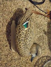 Green wing teal for sale  Chatham