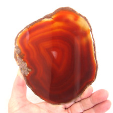 Orange agate slice for sale  BLACKPOOL