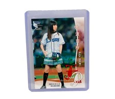 Inami anju 300 usato  Spedire a Italy
