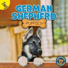 Top puppies german for sale  Montgomery