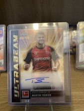 Martin terrier auto gebraucht kaufen  Oerlinghausen