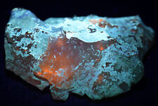 Petrified wood pink for sale  Sussex