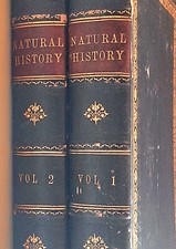 Museum natural history for sale  Ashland