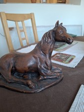 Arabian horse laying for sale  HODDESDON