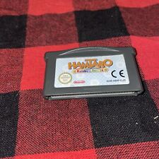 Hamtaro rainbow rescue usato  Vado Ligure