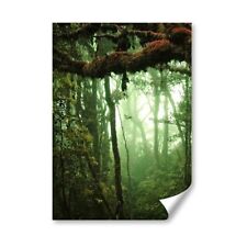 Tropical rain forest for sale  SELBY