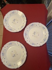 Assiettes plates arcopal d'occasion  Étain