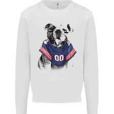 American football bulldog for sale  COVENTRY