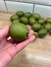 Limes lifelike artificial for sale  NORWICH