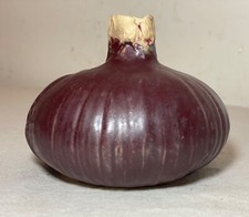 Vaso de cerâmica vintage 95' feito à mão Patricia Garrett figurativo vegetal cebola vermelha comprar usado  Enviando para Brazil